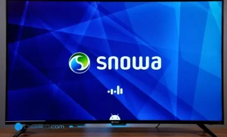 Snowa TVs Hack